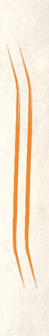 A synoptic Concept new-5.jpg